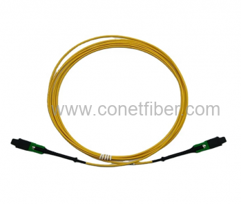 Low-loss High Density SM 2.0MM SN-MT Optical Fiber Patch cord